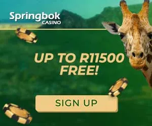Springbok Casino