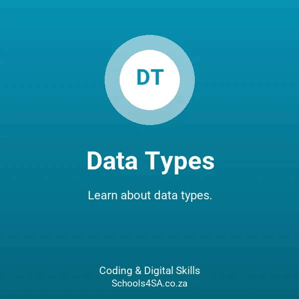 Data Types - Coding & Digital Skills | Schools4SA